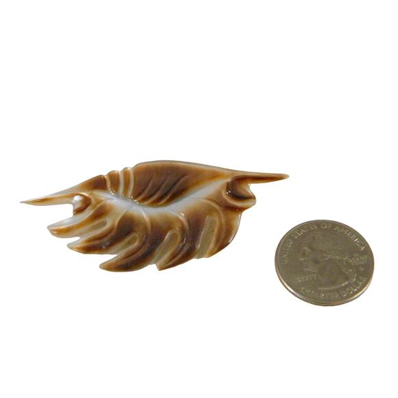 Mother of Pearl Hand Carved Shell Brooch, Vintage Mother Pearl Brown Shell Pin - Picture 4 of 4
